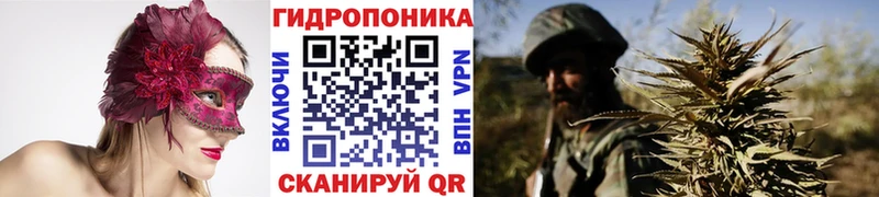 Купить наркотики сайты Киров ГАШИШ  Alpha-PVP  Меф  MEGA зеркало  Cocaine  Каннабис 