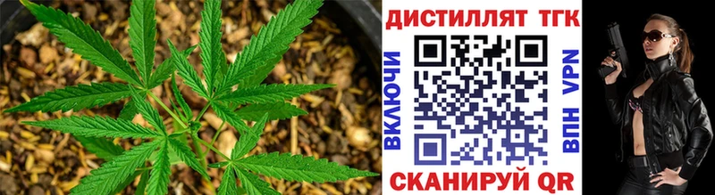 Дистиллят ТГК Wax Киров