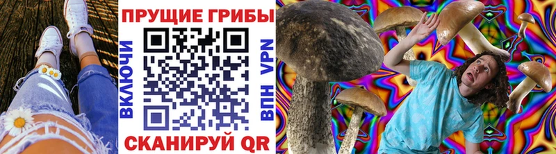 OMG как зайти  Киров  Псилоцибиновые грибы Cubensis  даркнет сайт 